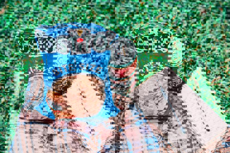 Mobile Oyster Shucking Cart Brings Fresh Seafood to Park Picnics